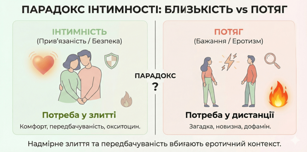Інфографіка: Парадокс інтимності. Безпека вбиває еротизм. Для пристрасті потрібна дистанція і новизна, а для любові — злиття. Баланс важливий.